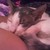 :iconkittencuddles: