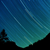 :iconkittenmittens: