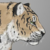 :iconkittenskill321: