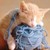:iconkittenswearmittens: