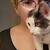 :iconkittentoast: