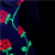:iconkitti-k4t: