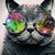 :iconkittie28: