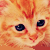 :iconkittie77: