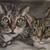 :iconkittie86: