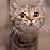:iconkittieluver55:
