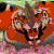 :iconkittupaladin: