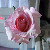 :iconkitty-kat-93: