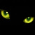 :iconkitty-kuro: