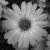 :iconkitty-love: