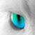 :iconkitty-loveth: