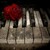 :iconkitty100612: