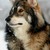 :iconkitty12000:
