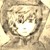 :iconkitty2196: