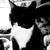 :iconkitty7meow: