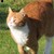 :iconkittybuttbutt: