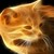 kittycatblue9 :iconkittycatblue9: