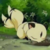 :iconkittycatkilala: