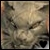 :iconkittycats16: