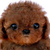 :iconkittydog10: