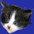 :iconkittyfoodplz: