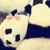 :iconkittygirlxx: