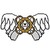 KittyHawk456 :iconkittyhawk456: