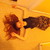 :iconkittyhawk58: