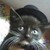 :iconkittyjackson: