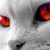 KittyKat0503 :iconkittykat0503: