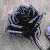 :iconkittykat0525: