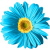:iconkittykatie88: