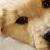 :iconkittykittyfantazmo: