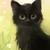 :iconkittyliz701: