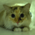 :iconkittylover: