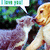 :iconkittyluvspuppy: