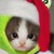 :iconkittymakesnightmares: