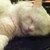 :iconkittymarafie: