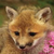 :iconkittymewmew10: