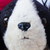 :iconkittymoe: