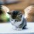 :iconkittymummy: