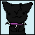 :iconkittynova12:
