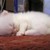 :iconkittyrally: