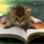:iconkittyreader: