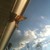 :iconkittyrocks5: