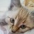 :iconkittyshigeru: