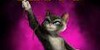 :iconkittysoftpawsfanclub:
