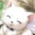 :iconkittysolen: