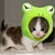 :iconkittyta: