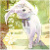 :iconkittyunleashed:
